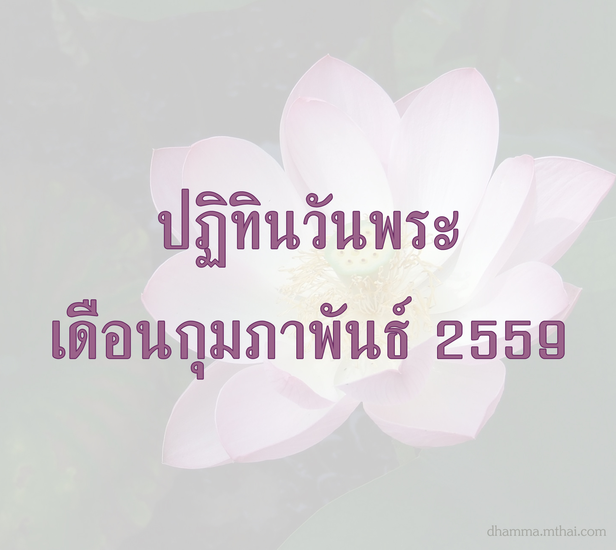 กุมภาพันธ์