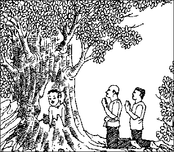 กูฏวาณิชชาดก